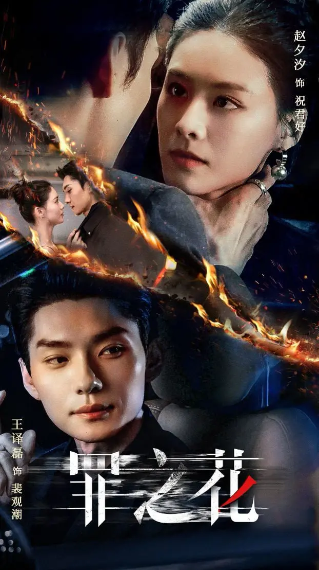 黑暗绽放的秘密：电影《罪之花》探索人性罪恶与救赎的深刻旅程